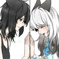 百合猫粮 百合猫粮